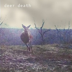 deer death - flesh jail
