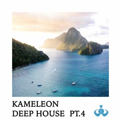 Dj Kameleon - Deep House Pt. 4