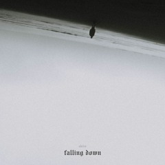 Falling Down (prod.rx808)