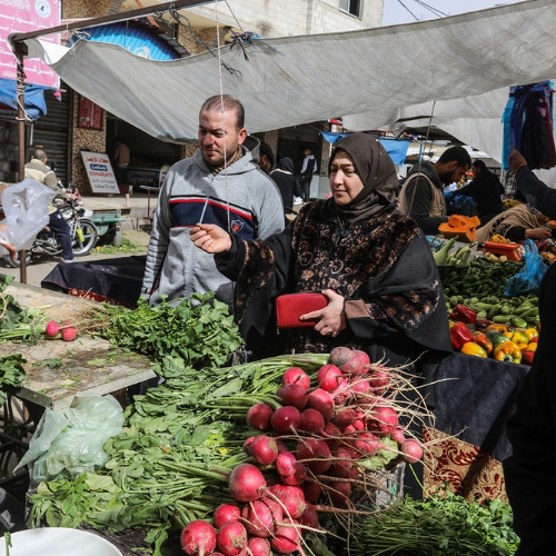 750 - הפור נפל