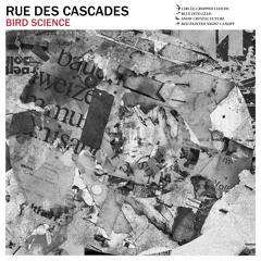 Circle-Cropped Clouds [The Swift]