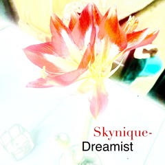 Skynique - Terra Nodal Infarium