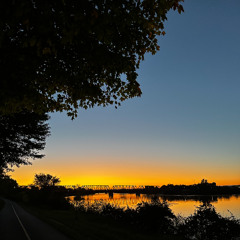 FEMBOTTTT://GROOVE_ALLEY