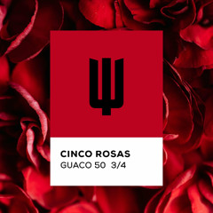 Cinco Rosas (Afro House Remix)