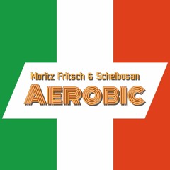 Moritz Fritsch & Scheibosan - Aerobic**Free Download**