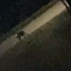 do you know where you're going