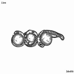Zebrafish
