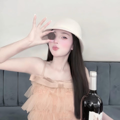 Nst Chợ Dinh Vol 13 - Xin Một Đêm Yêu Em