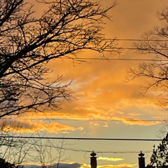 DRAKE TYPE BEAT (PROD BY. YOUNG ROG)