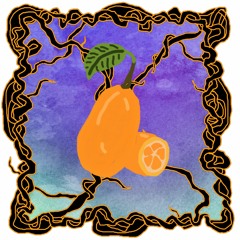 FRUITCAST #54 | kabeljo | the experience of a ripe kumquat