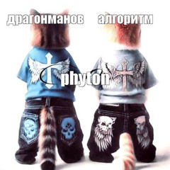 питон