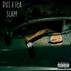 FLA Slapp - DUI