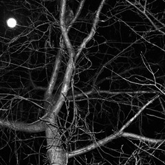 NIGHTSTALKER_01 (prod. Olias.)