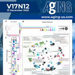 RNA Splicing and Processing Emerge as Central Features of Human Aging Across Tissues