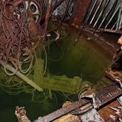 (Случайный все) промышленный ад