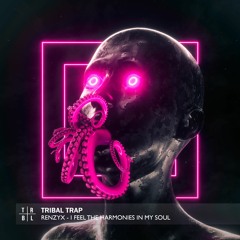 Renzyx - I Feel The Harmonies In My Soul
