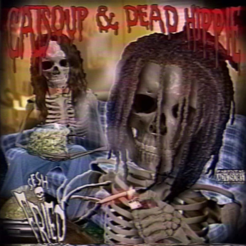 CAT SOUP AND DEAD HIPPIE - FRIED