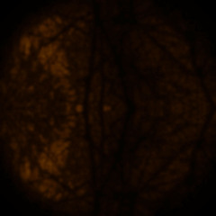 Lost thoughts of a tormented soul (Una sera d'Ottobre)