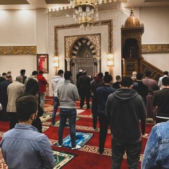 اواخر سورة القصص وسورة العنكبوت كاملة || الشيخ أحمد أبو بكر