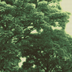 Dream of Me