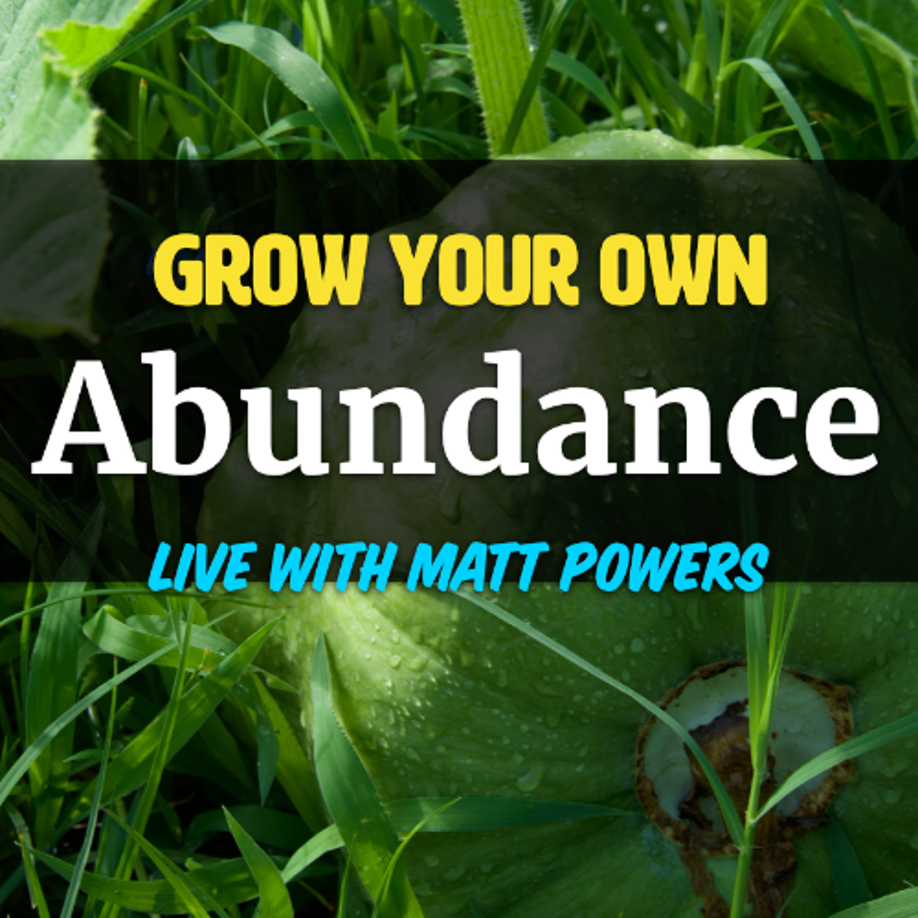 Episode 194 | Grow Your Own Abundance - Unlock Your Abundance series with Matt Powers