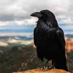 MANFRESH  MENTIRAS (VIDEOCLIP OFICIAL).m4a