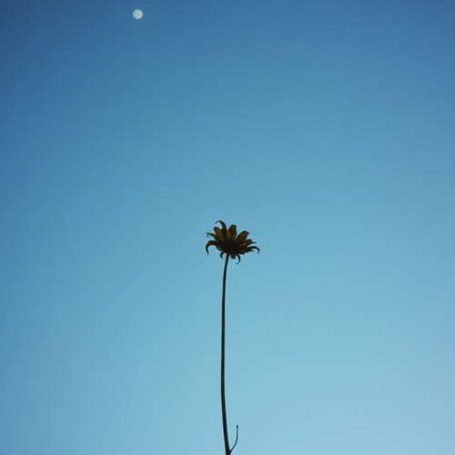 I Cry Alone