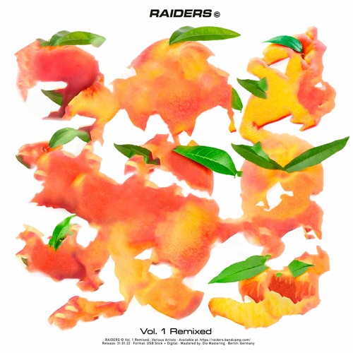 PREMIERE: DJ Technics - Shake Ya Dik (DJFH Rework)[DJFH & jpeg.love Reinterpretation] - Raiders