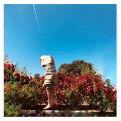 Wills Monologue: The Christmas Story