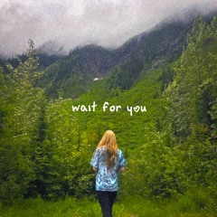 wait for you w/ the delirious artist