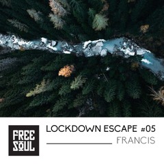 Lockdown Escape #05 w: Francis
