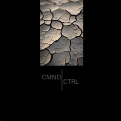 Duniz (Feat B. Riley Remix) [CTRL073] Previews