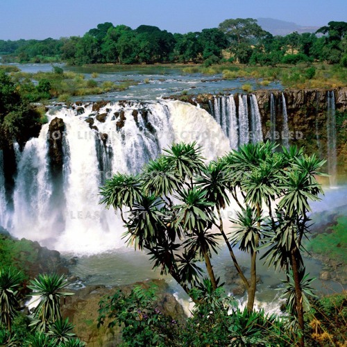 SOLID ROCK - pop up reggae shop (19th Feb. '22)