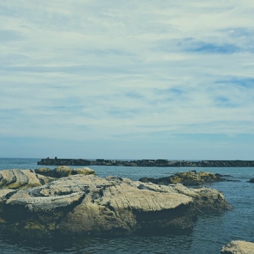 Log_20220726