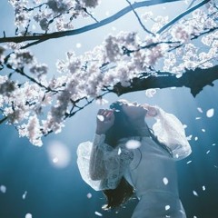 Yuria - 春はゆく Haru Wa Yuku / Aimer 「Fate/stay night [Heaven's Feel]」III.spring song