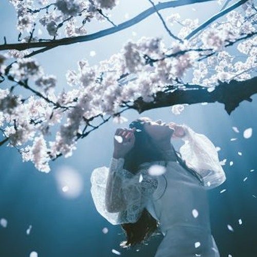 Yuria 春はゆく Haru Wa Yuku Aimer Fate Stay Night Heaven S Feel Iii Spring Song By Yuria Yuria 春はゆく Haru Wa Yuku Aimer Fate Stay Night Heaven S Feel Iii Spring Song By Yuria