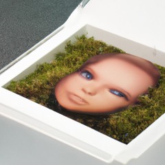 TAPISSERIE 0 (plane 2 paradise)