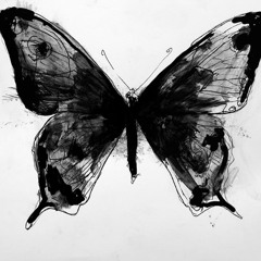 seed