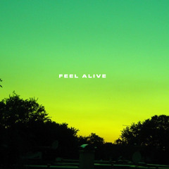 Feel Alive
