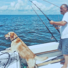 Reel him in🎣w @Kishordie (@ivyend)