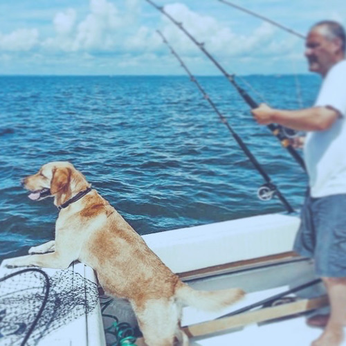 Reel him in🎣w @Kishordie (@ivyend)