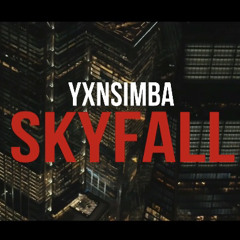 YXN Simba -SKYFALL