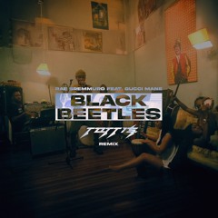 Black Beatles - Rae Sremmurd feat. Gucci Mane (TOTTI's Afro House Remix)