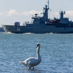 Echoes of a Forgotten Future