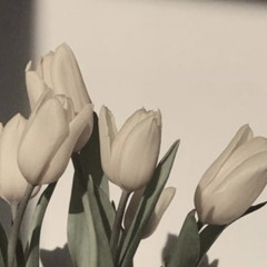ෆ