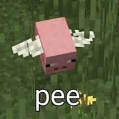 popka