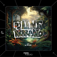DJ LINT Rrrradio #1 w/ DJ LINT
