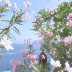 fake love !   (zielholy, 2wice!)