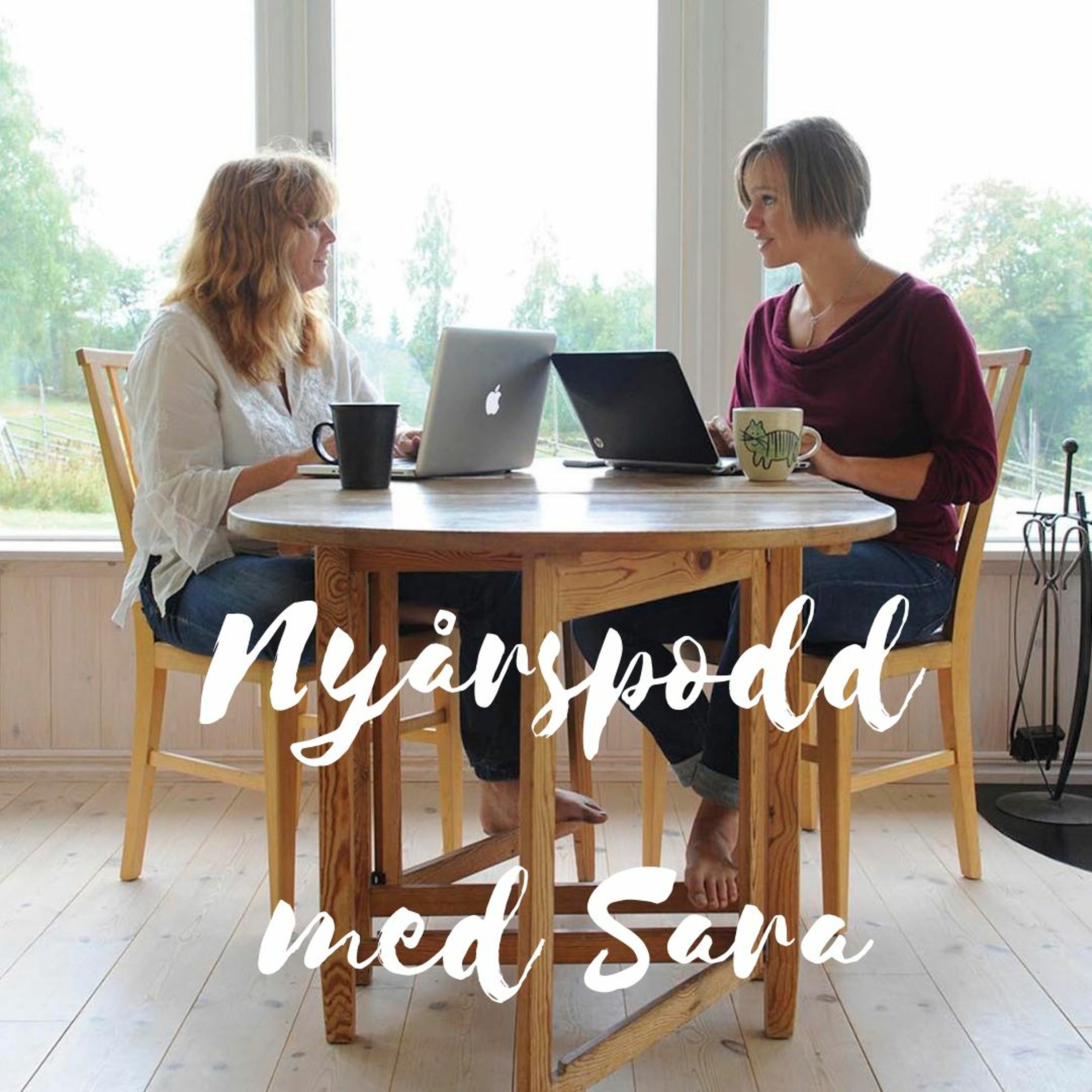 111. Lekfullhet och glädje. Nyårspodd med Sara Norrby Wallin episode artwork