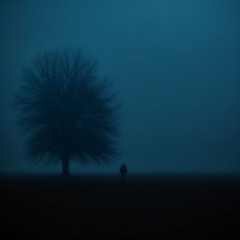 Before Dawn 2.0